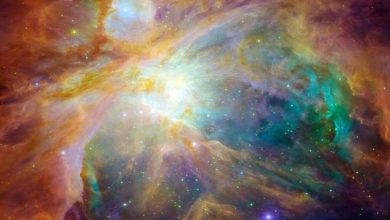 JWST'nin (James Webb Space Telescope) yakaladığı Orion Nebula'sının görüntüsü