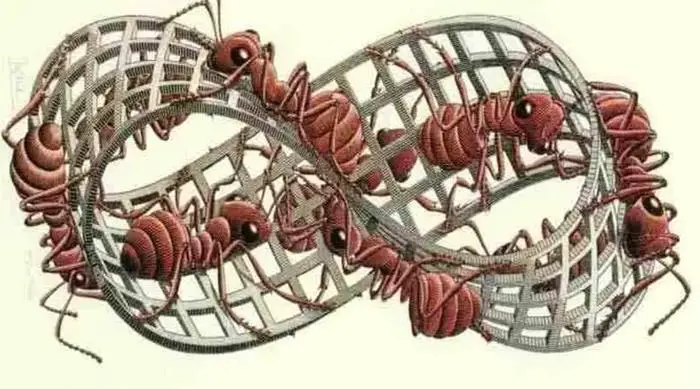 Möbius Şeridi Nedir? Matematikçiler İçin Neden Önemlidir?