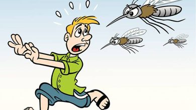 sivrisinek neden ısırır