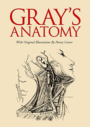Grey's Anatomy Dizisine İlham Veren Tıp Kitabı: Gray's Anatomi