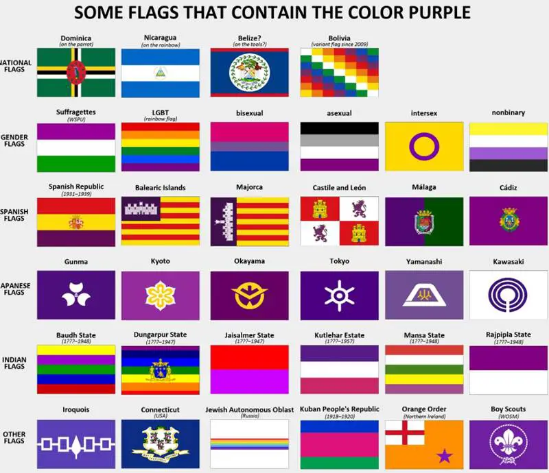 mor-renkli-lke-bayraklar-neden-nadirdir-matematiksel