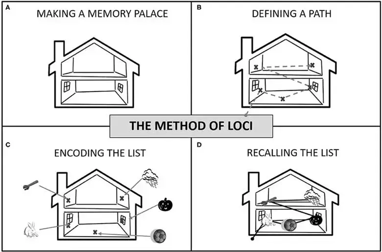 Hafıza Şampiyonları loci metodu